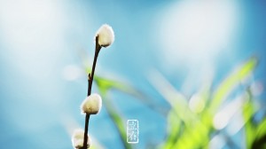 20140206091811
